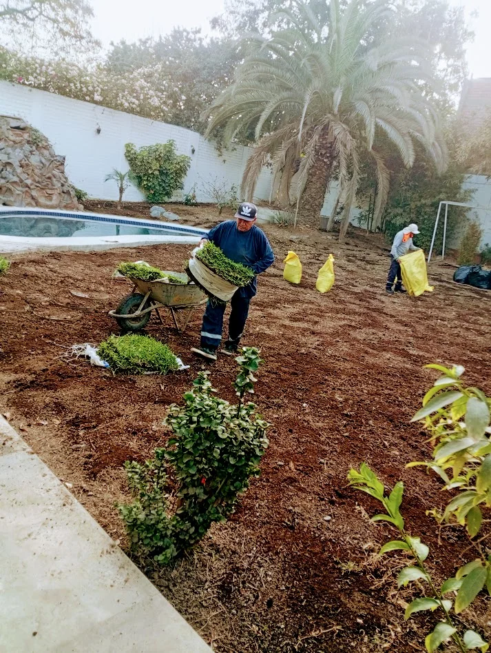 Equipo colocando material vegetal sobre el terreno preparado junto a la piscina