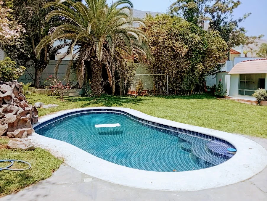 Resultado de instalación de grass y poda de árboles en un jardín junto a una piscina